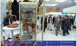 سرپرست وزارت صنعت و تجارت، نمایشگاه بزرگ افغان-ترکمن را در شهر عشق‌آباد ترکمنستان افتتاح کرد